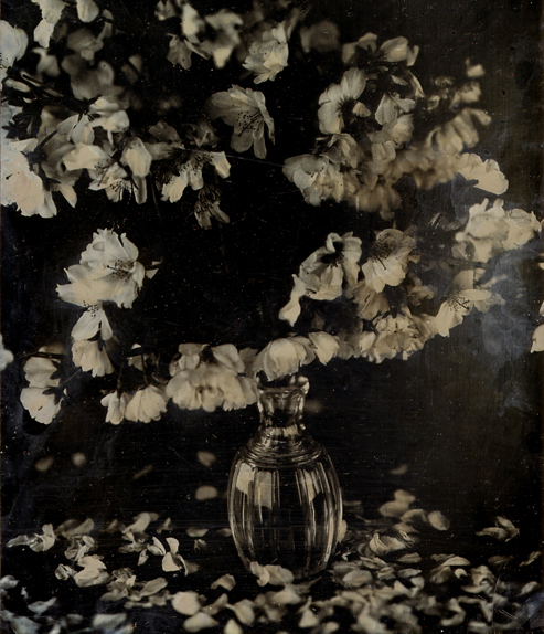 Dag Fleurs BD ret.jpg - Daguerreotype